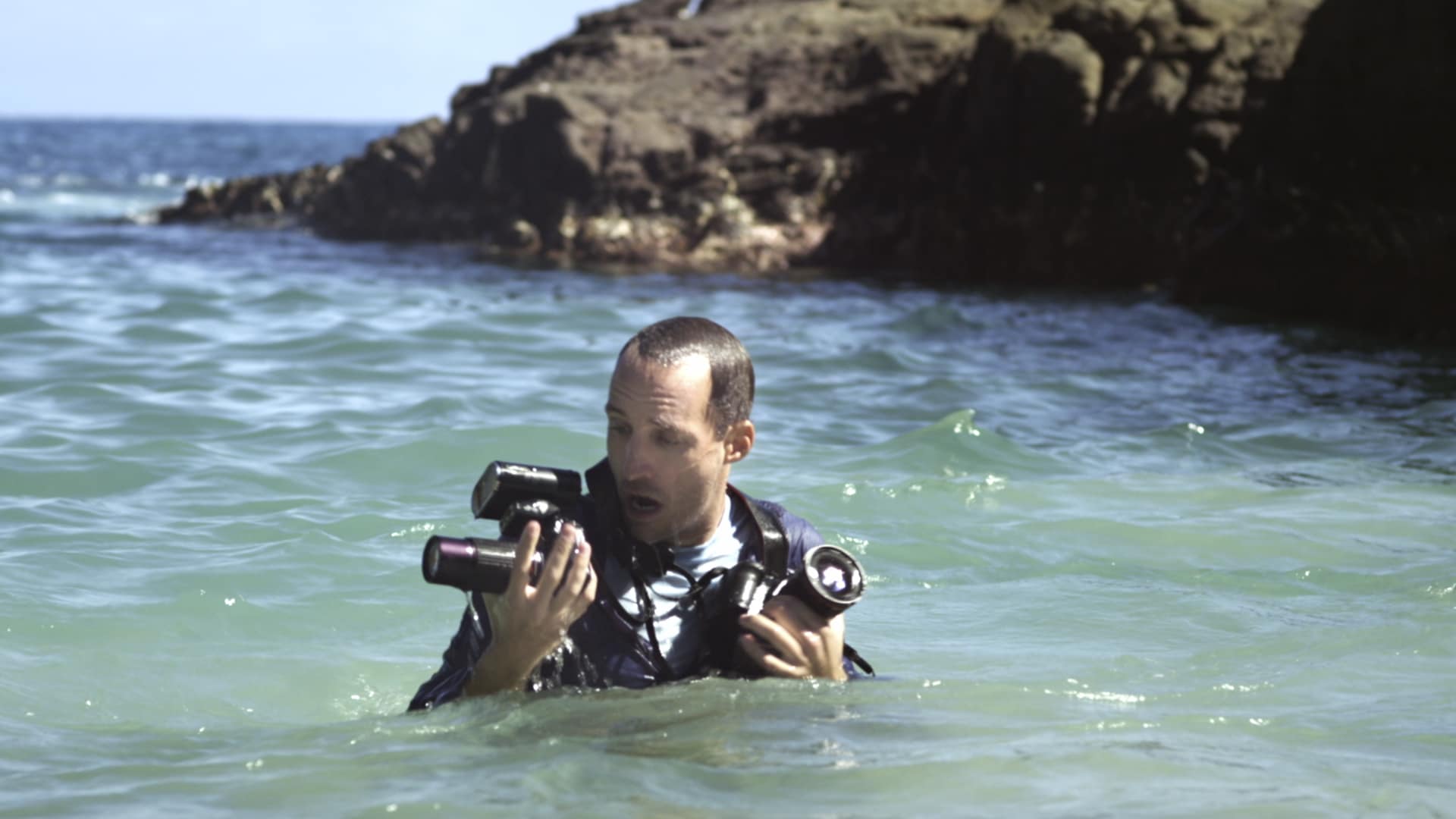 First Insurance of Hawaii: In Paradise, Bad Still Happens - Beach