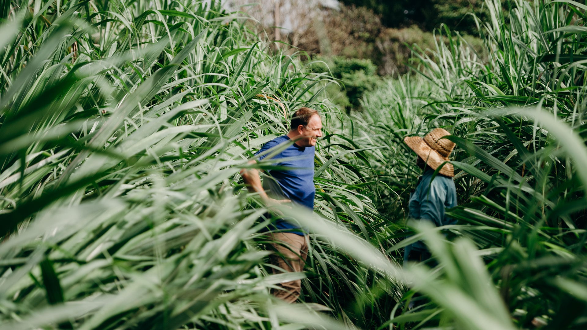 The Nobility of Cane - Kyle Reutner, Oahu